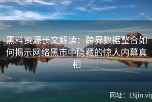 黑料资源长文解读：跨界数据整合如何揭示网络黑市中隐藏的惊人内幕真相