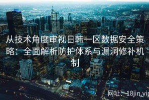 从技术角度审视日韩一区数据安全策略：全面解析防护体系与漏洞修补机制
