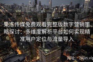 果冻传媒免费观看完整版数字营销策略探讨：多维度解析平台如何实现精准用户定位与流量导入