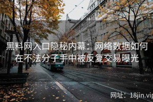 黑料网入口隐秘内幕：网络数据如何在不法分子手中被反复交易曝光