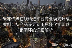 果冻传媒在线精选平台商业模式升级案例：从产品设计到用户转化实现营销闭环的详细解析