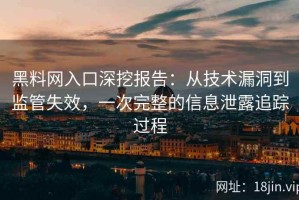 黑料网入口深挖报告：从技术漏洞到监管失效，一次完整的信息泄露追踪过程