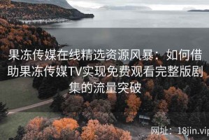 果冻传媒在线精选资源风暴：如何借助果冻传媒TV实现免费观看完整版剧集的流量突破