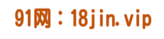 91网