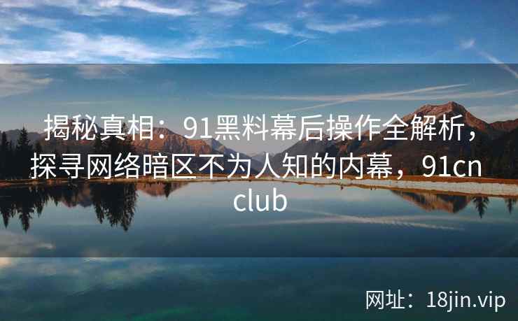 揭秘真相：91黑料幕后操作全解析，探寻网络暗区不为人知的内幕，91cn club