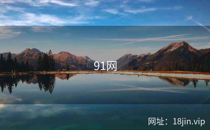 91网