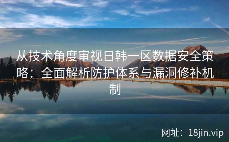 从技术角度审视日韩一区数据安全策略：全面解析防护体系与漏洞修补机制